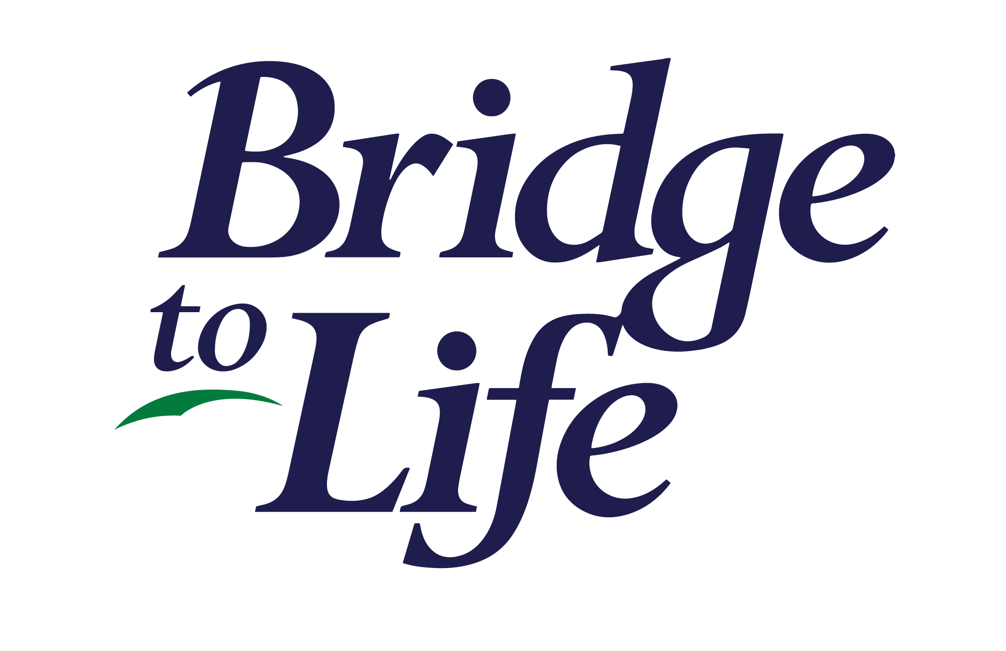 Bridge to Life