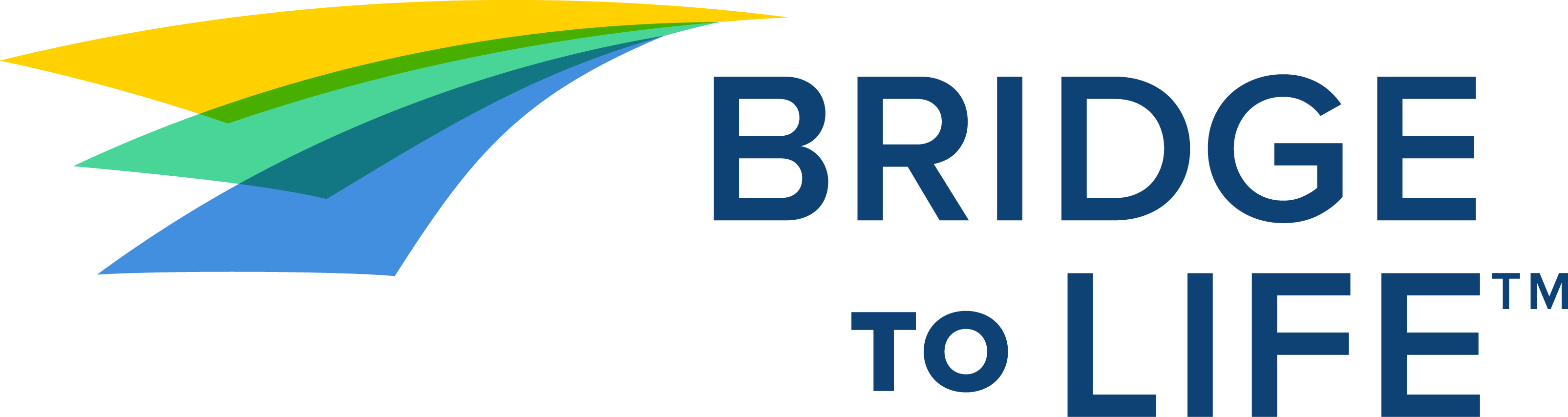 Bridge to Life Logo