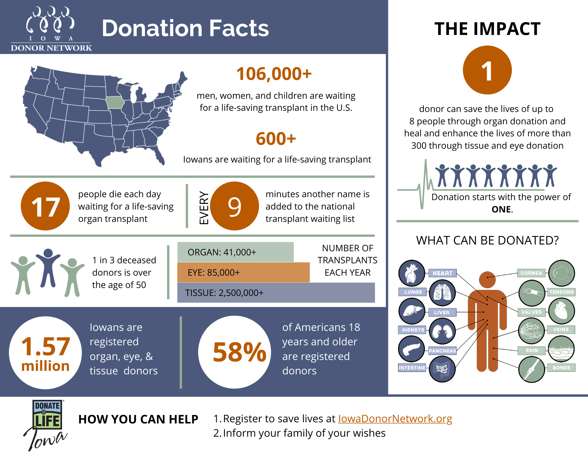 Donation Statistics 2022